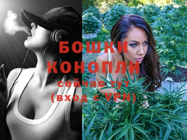 эйфоретик Бородино