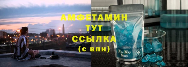 прущие грибы Верхний Тагил
