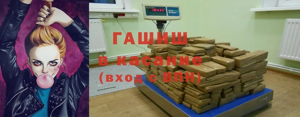 прущие грибы Верхний Тагил