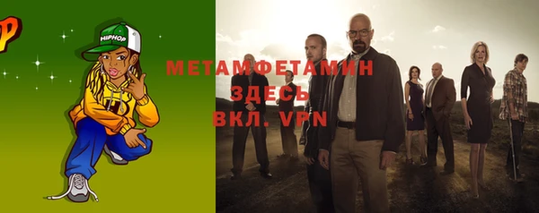 прущие грибы Верхний Тагил