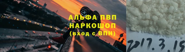 прущие грибы Верхний Тагил