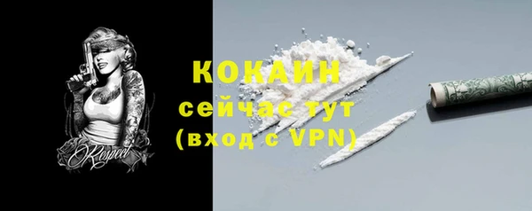 ешки Бронницы