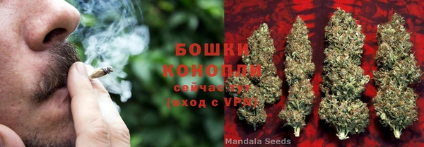 ПСИЛОЦИБИНОВЫЕ ГРИБЫ Верхнеуральск