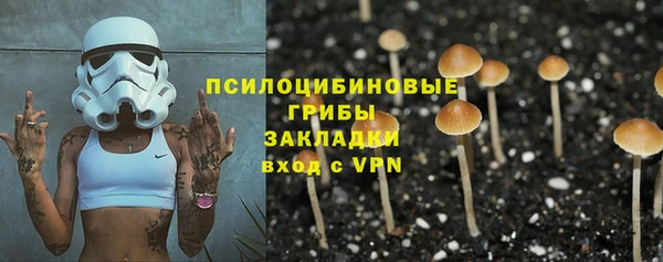 прущие грибы Верхний Тагил