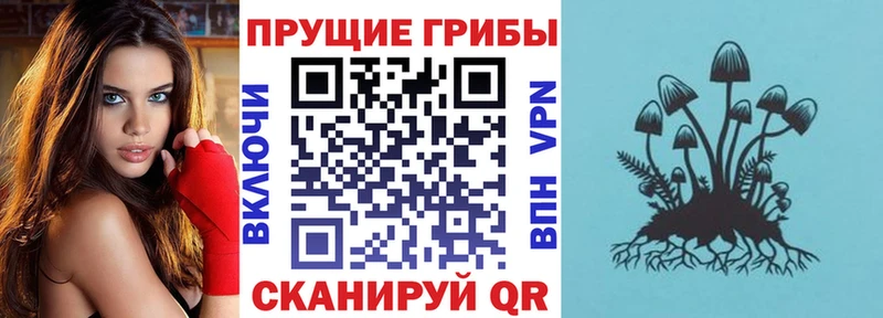darknet как зайти  Кизляр  Галлюциногенные грибы мухоморы 